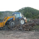 Limpieza forestal